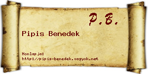 Pipis Benedek névjegykártya